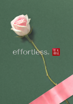 effortless七夕礼遇